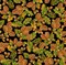Quilting Treasures Thanksgiving Acorns Pinecones Leaves On Black Quilting Treasures 100% Cotton